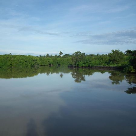 Willa Coconut Island Tangalle Zewnętrze zdjęcie