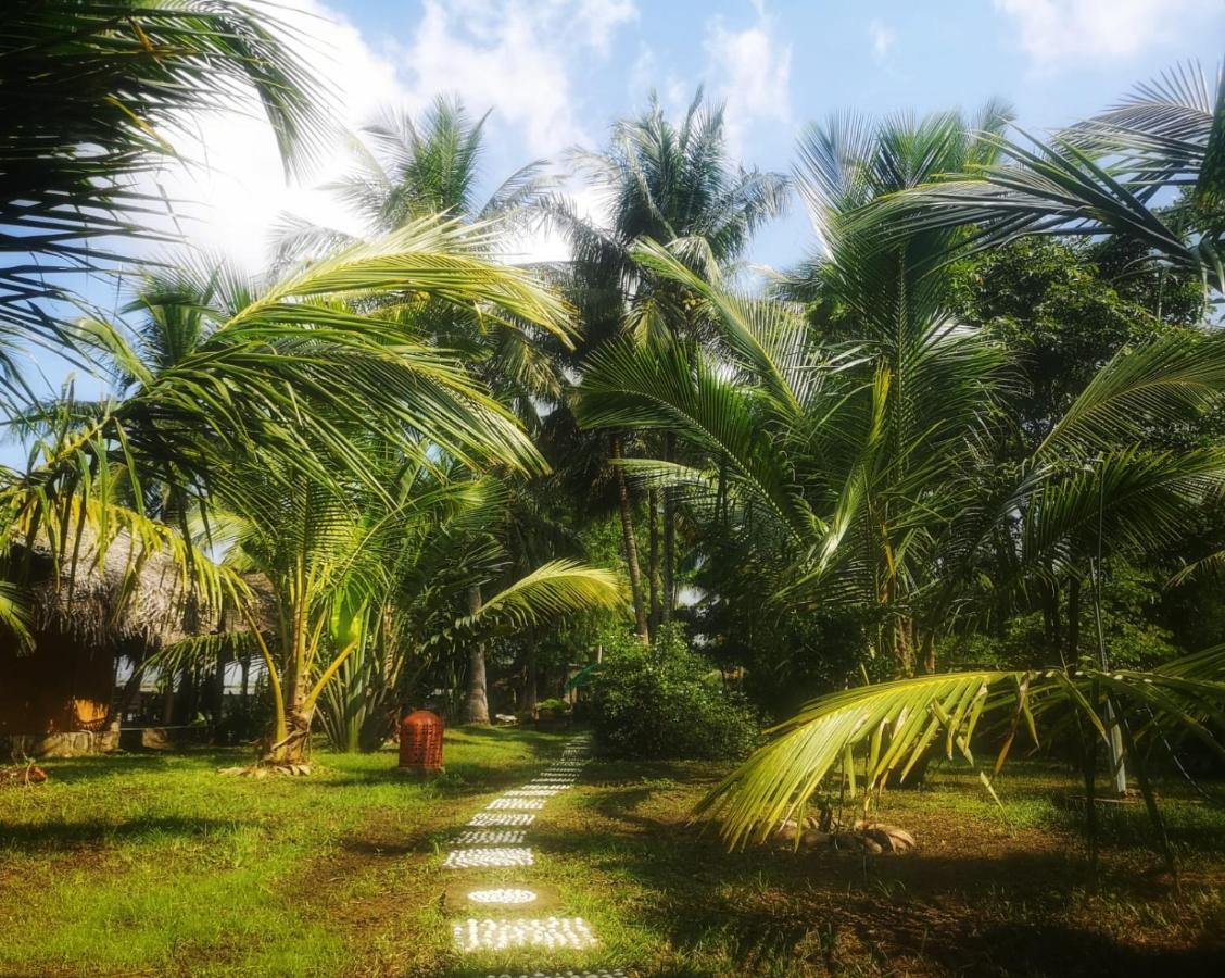 Willa Coconut Island Tangalle Zewnętrze zdjęcie