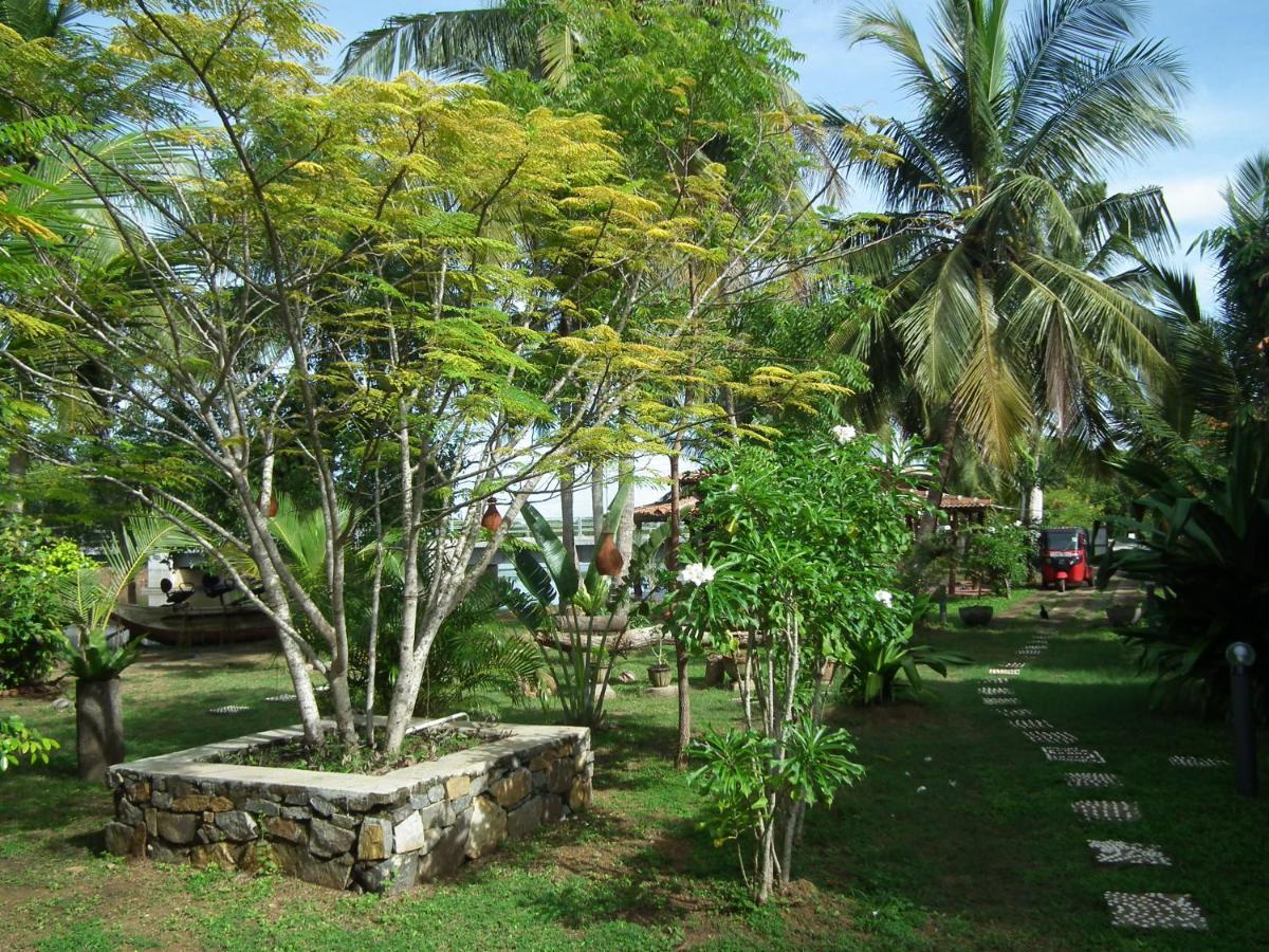 Willa Coconut Island Tangalle Zewnętrze zdjęcie